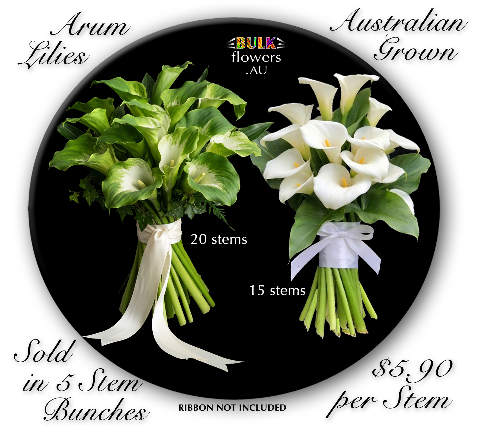 ARUM LILIES